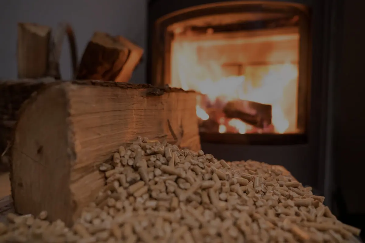 Stove Repair service